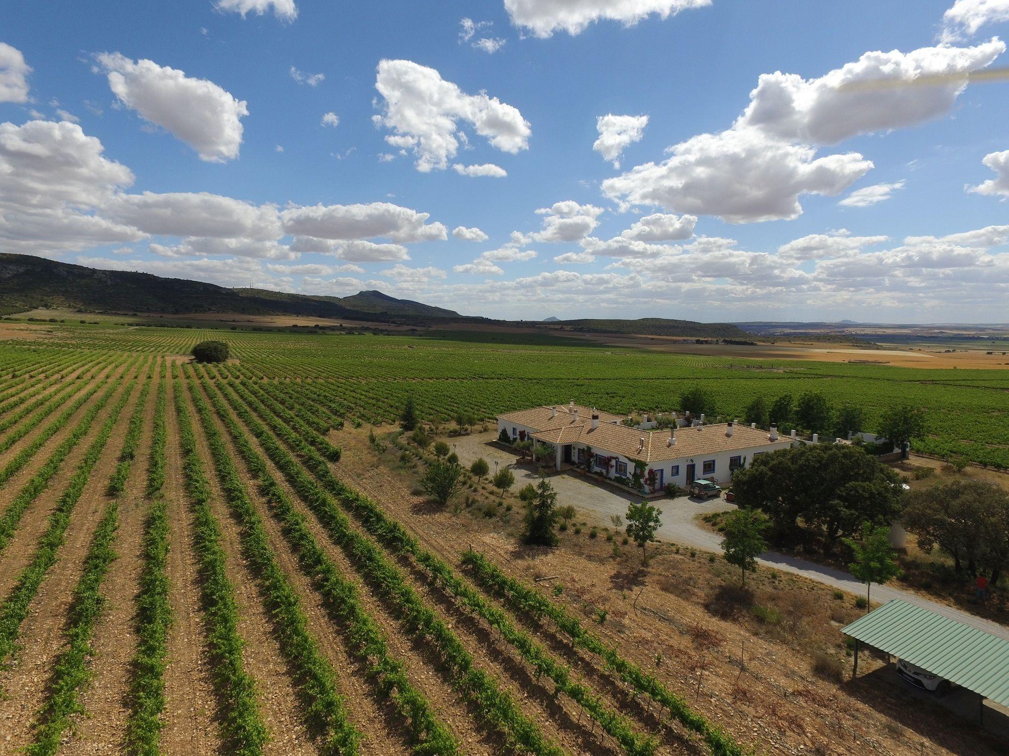 Finca El Romeral Alpera Exteriér fotografie