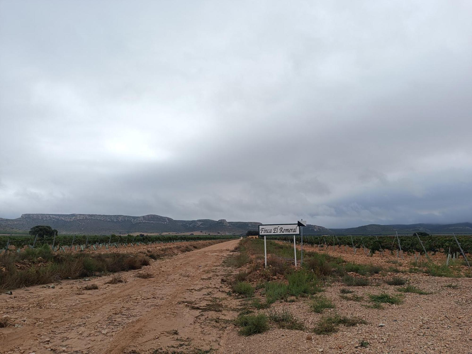 Finca El Romeral Alpera Exteriér fotografie