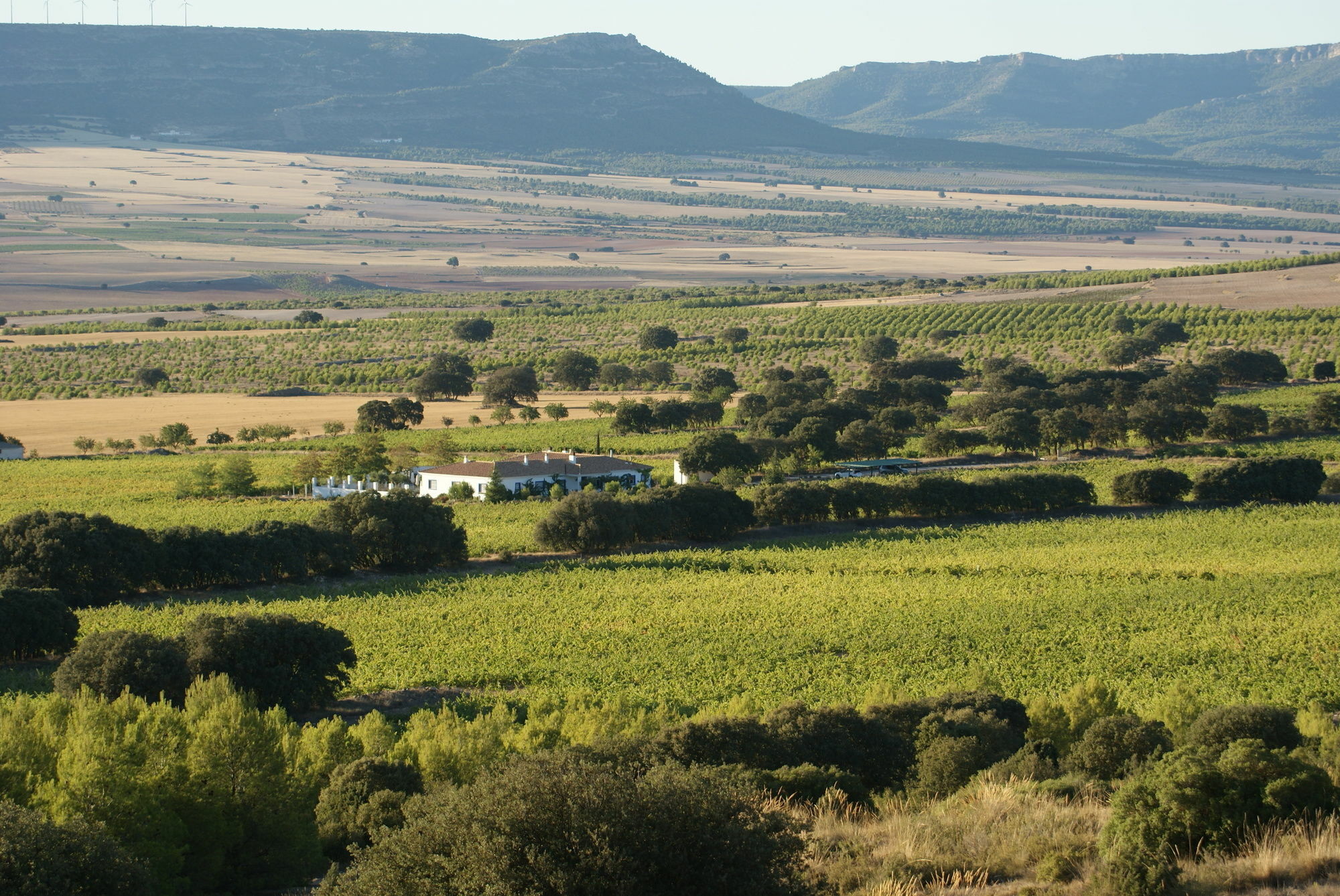 Finca El Romeral Alpera Exteriér fotografie