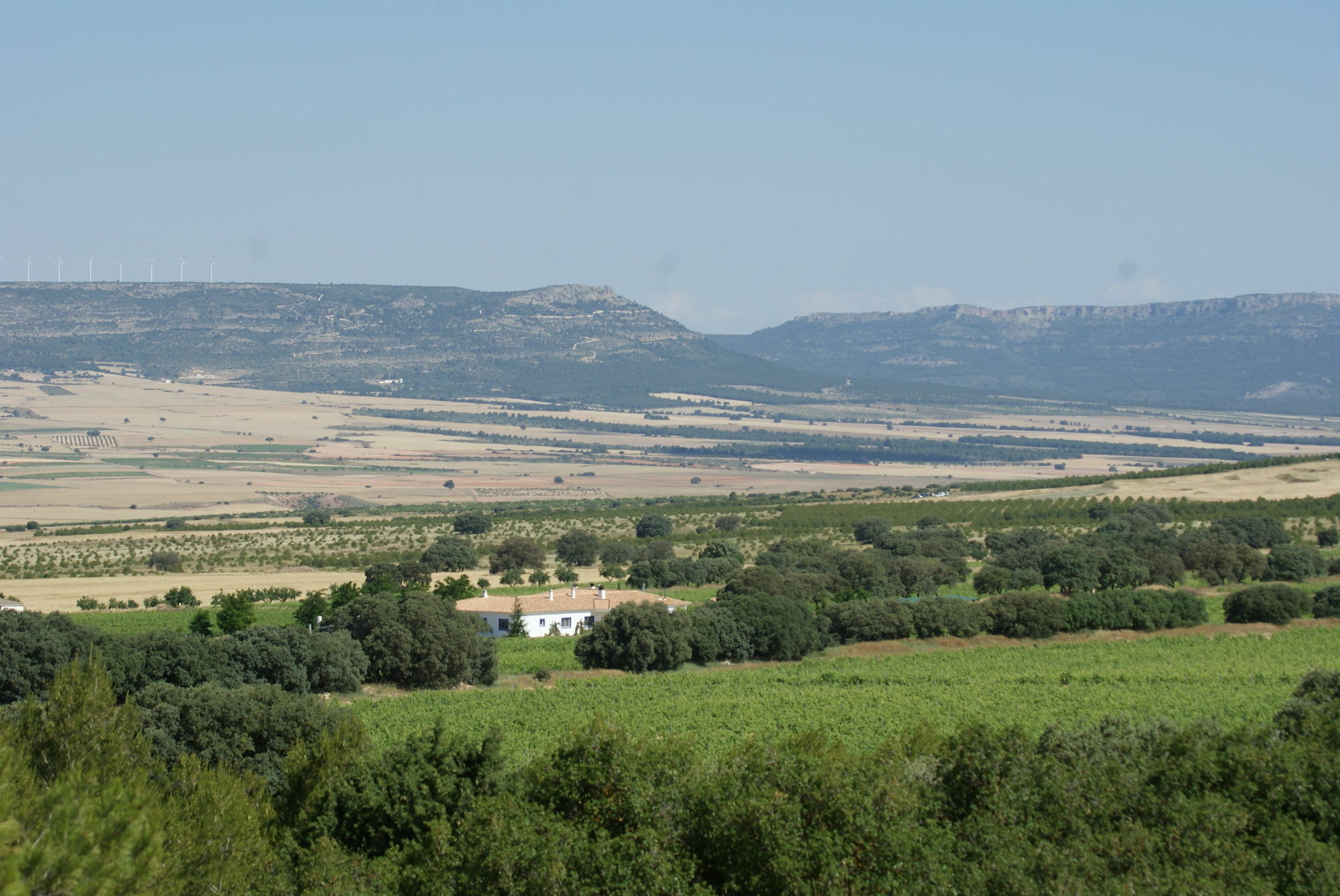 Finca El Romeral Alpera Exteriér fotografie