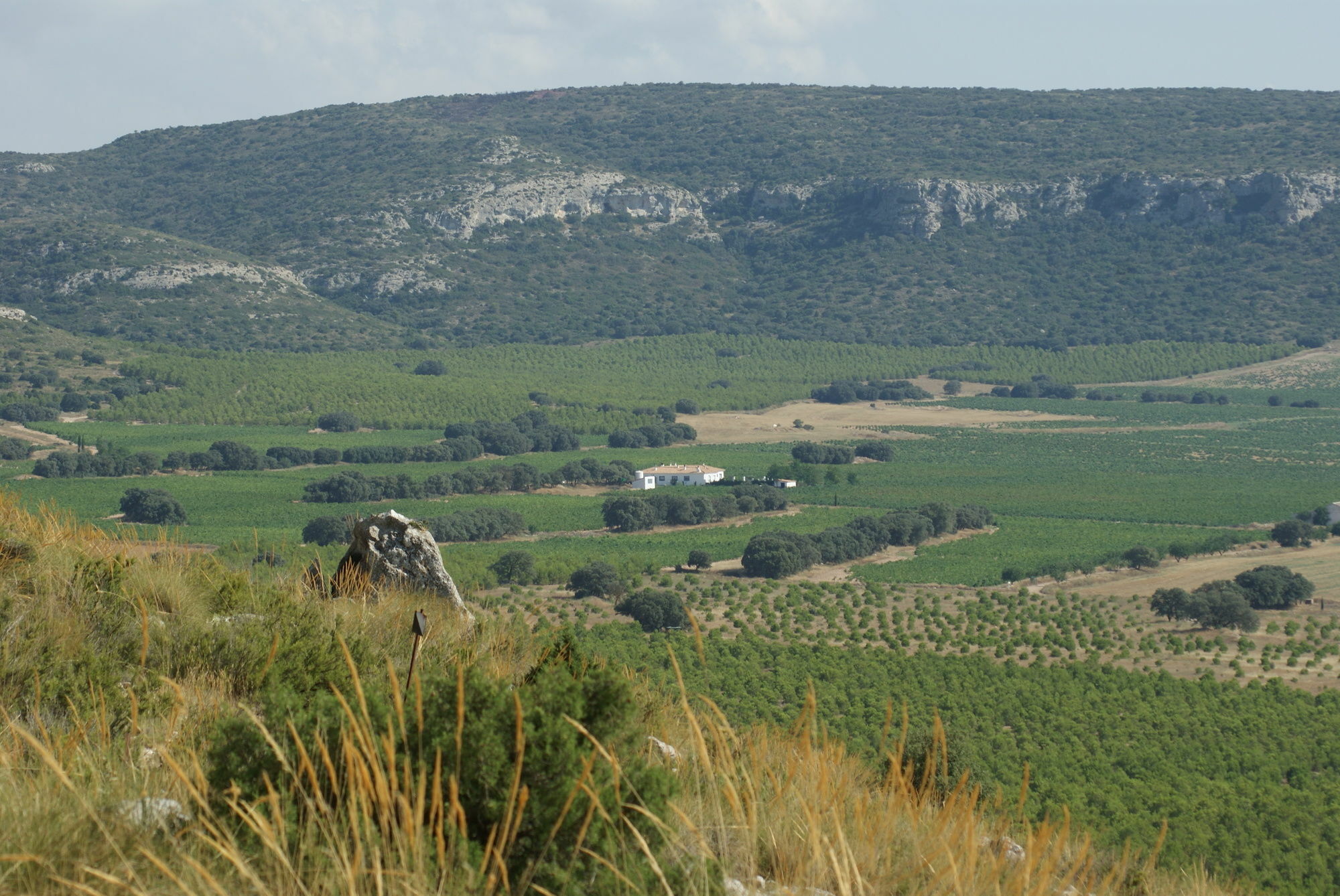 Finca El Romeral Alpera Exteriér fotografie