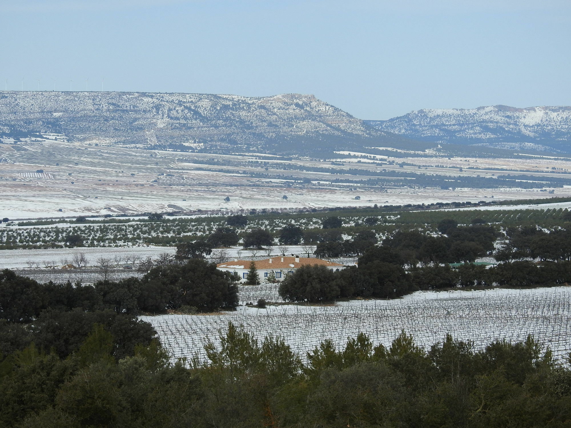 Finca El Romeral Alpera Exteriér fotografie